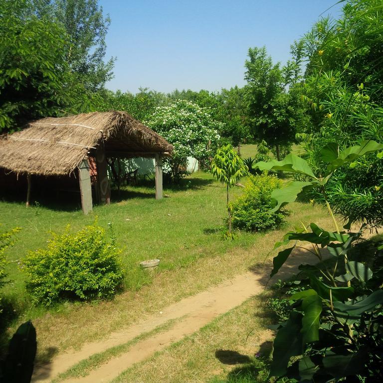 Adb Rooms Amer Resort Ranthambore Exteriér fotografie